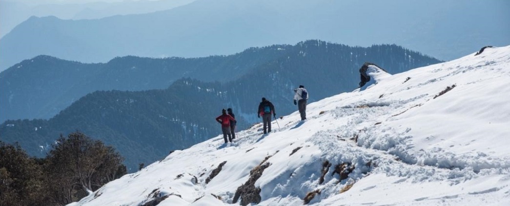 Complete Information on Goechala Trek in Sikkim