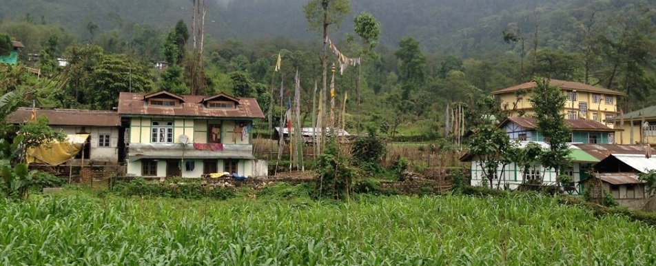 Sikkim’s Plan of Action to Combat Climate Disturbances &  Safeguard Tourism