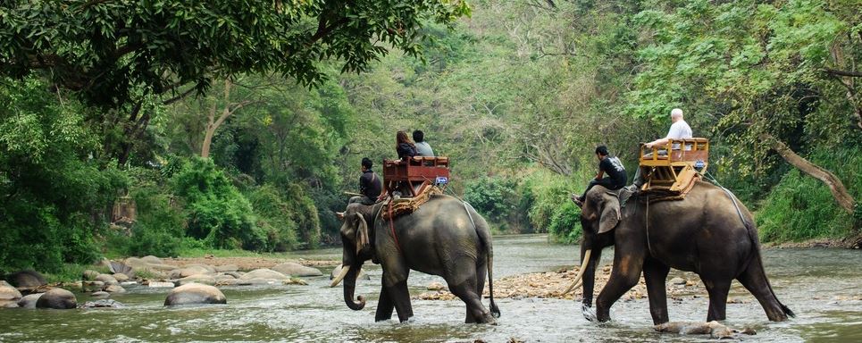 Dooars Jungle Safari (05 Nights / 06 Days)