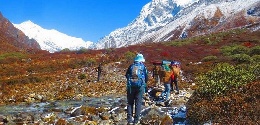 Dzongri Trek Sikkim (06 Nights / 07 Days)
