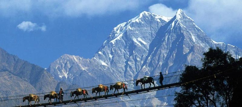 Gangtok Pelling Darjeeling (07 Nights / 08 Days)